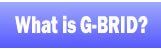 <!--G-BRID is a new type of free community site for mobile phones based on the location information.-->